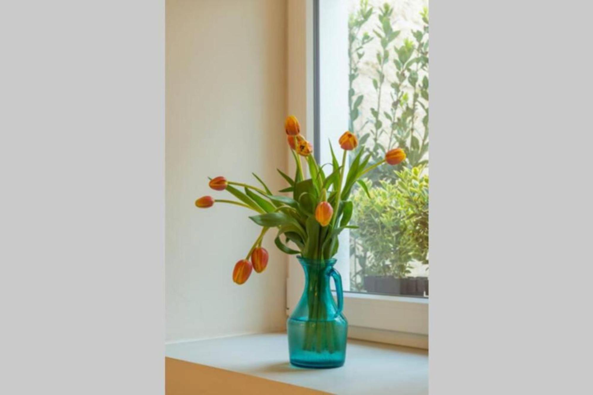 Authentic Gf Apartment With Terrace At The 3 Cities Marina Cospicua Ngoại thất bức ảnh